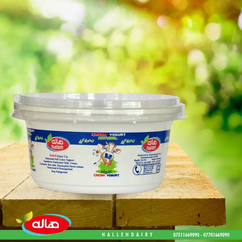 ماست (لبن) هاله 600غ*8عدد