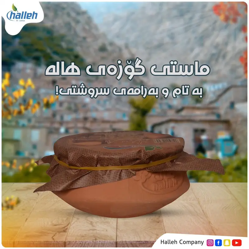 ماست (لبن)فخار800غ *8عدد هاله