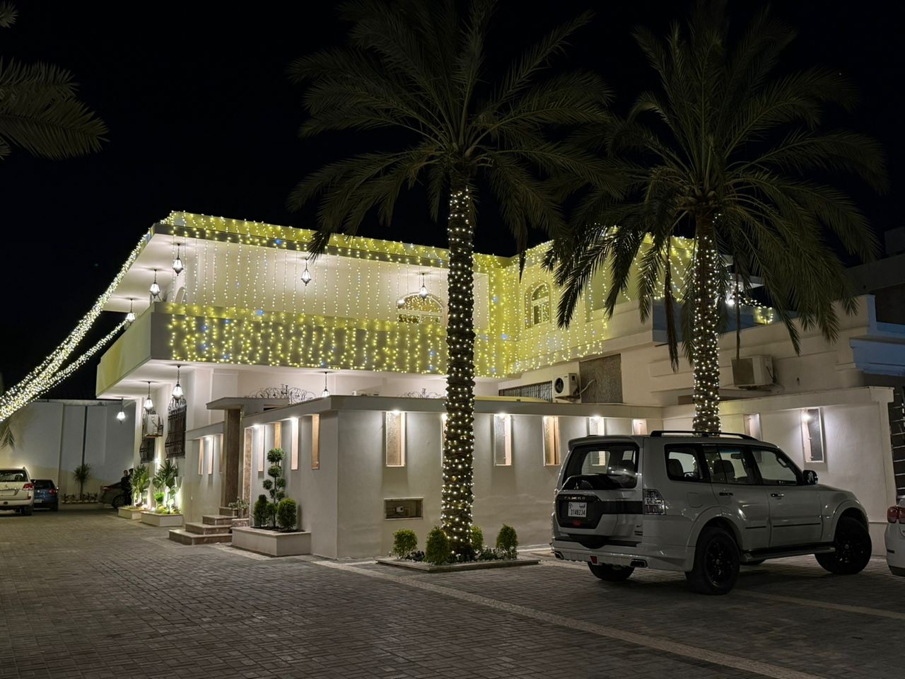 صورة 3
