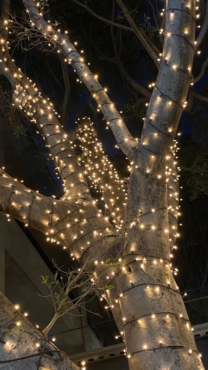 صورة 7