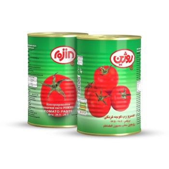 معجون طماطة روزين بجوك 400غرام*24عدد