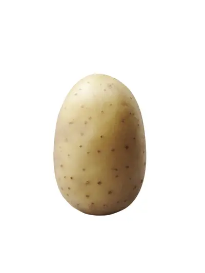 بتيتة