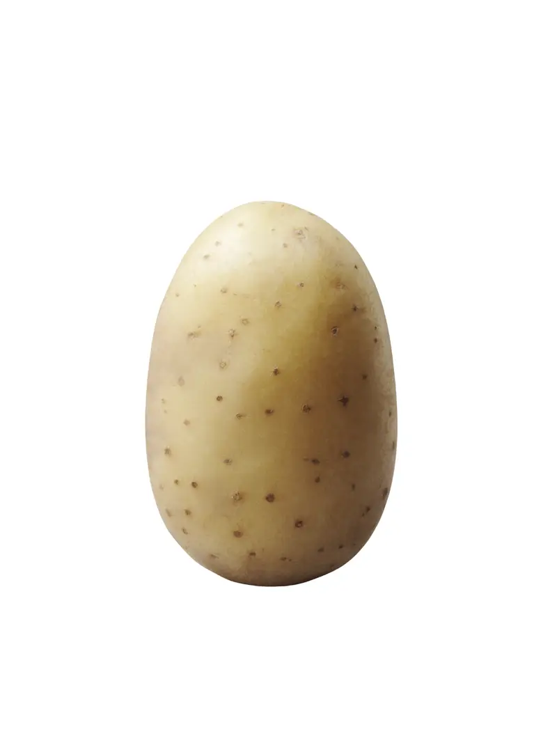 بتيتة