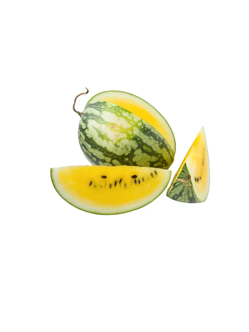 رقي اصفر