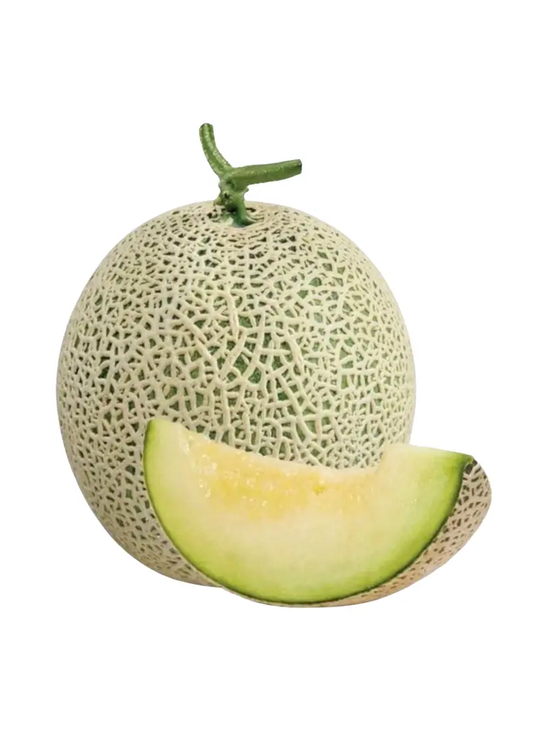 بطيخ