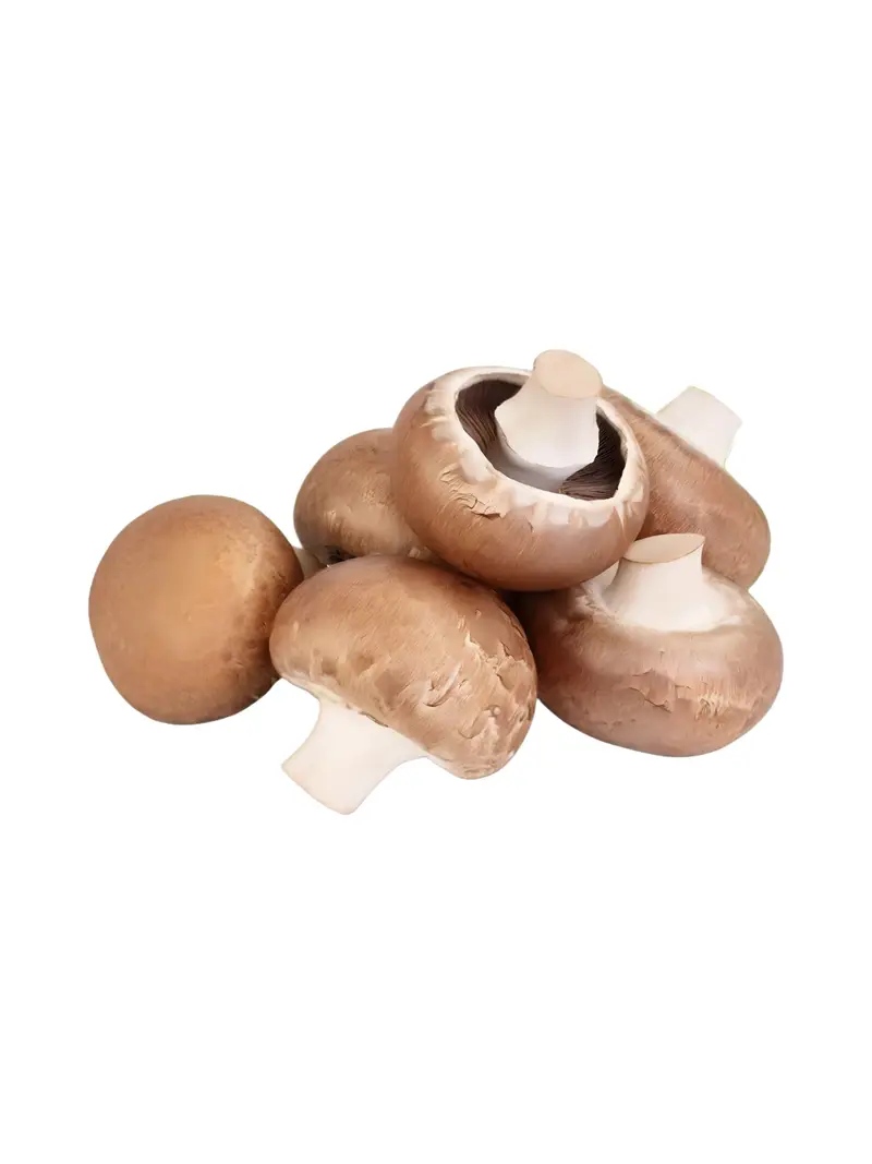 فطر وزن