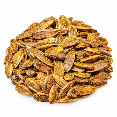 سامينسة متبلة