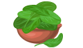 ملوخية حبة