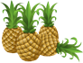 اناناس حبة