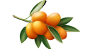 علبة كيكواة
