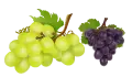 عنب