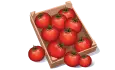 بندورة صندوق