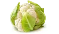 زهرة صندوق