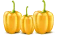 ملونة صندوق