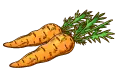 جزر حبة