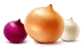 شوال بصل