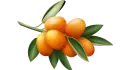 علبة كيكواة