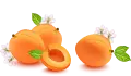 علبة مشمش