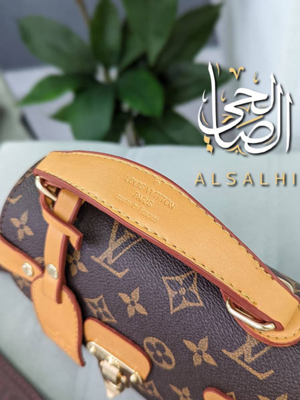 صورة 2