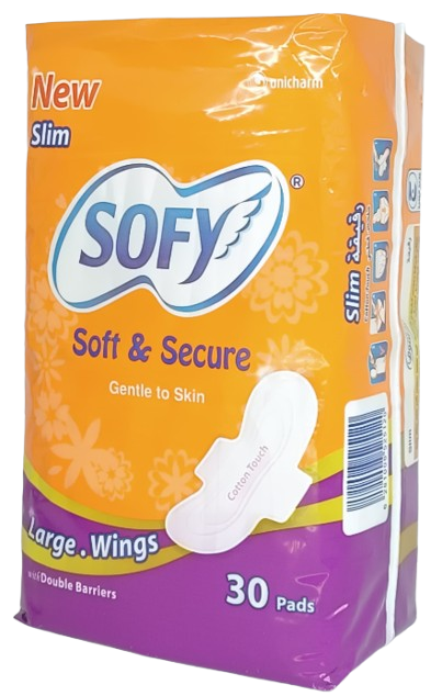 سانتى sofy large wings*30