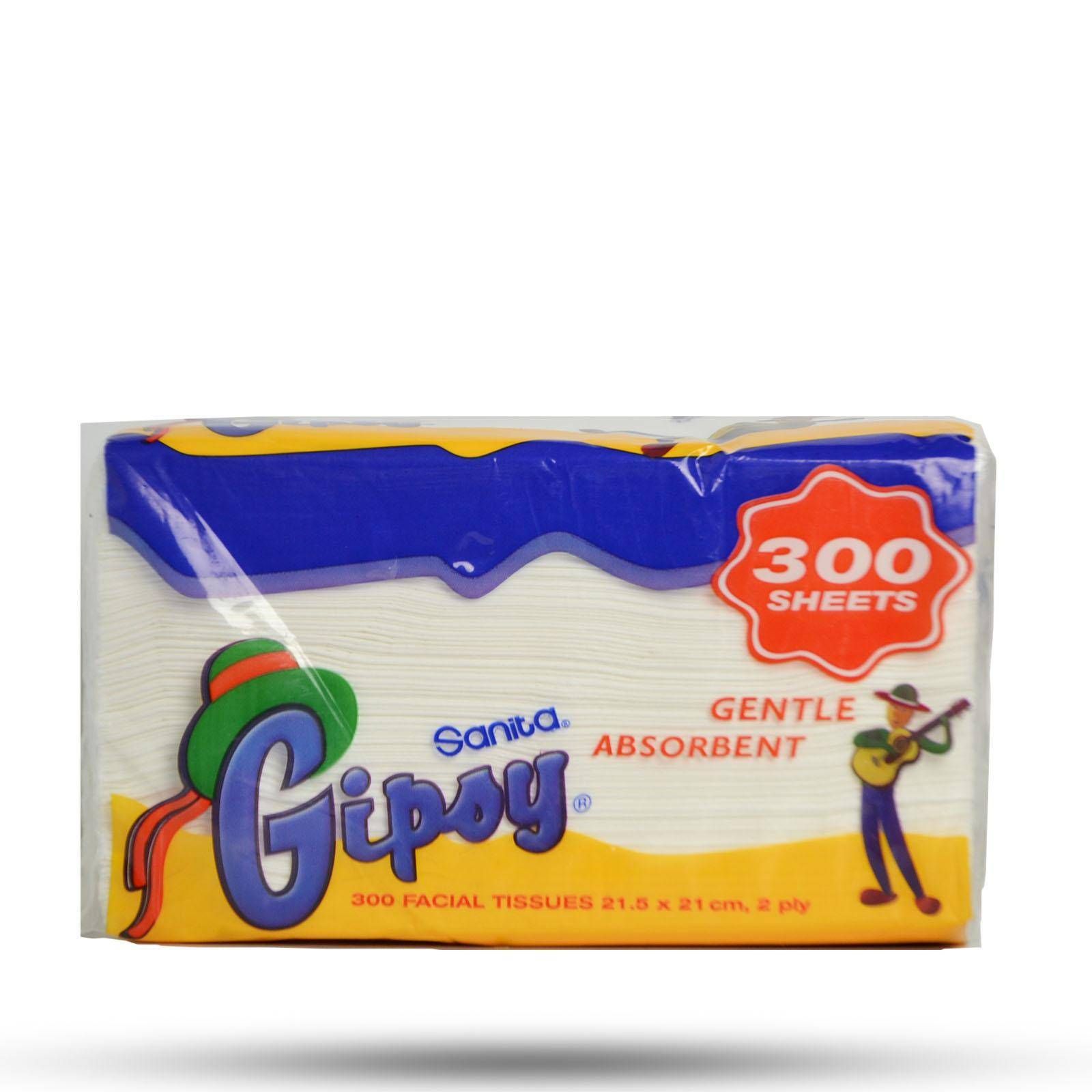 Gipoy كلينكس 300