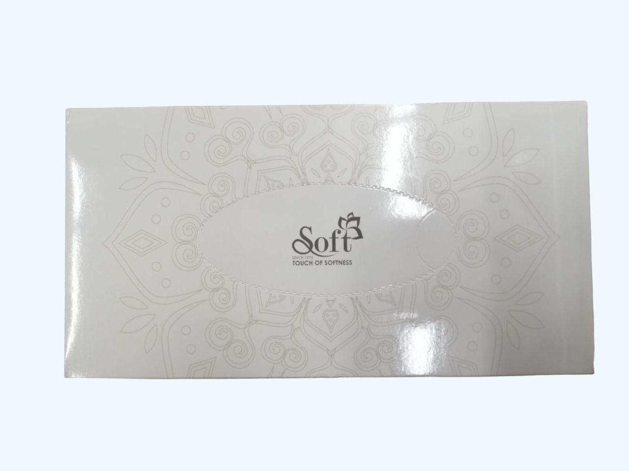 كلينكس soft 2ply *100 كارتؤن