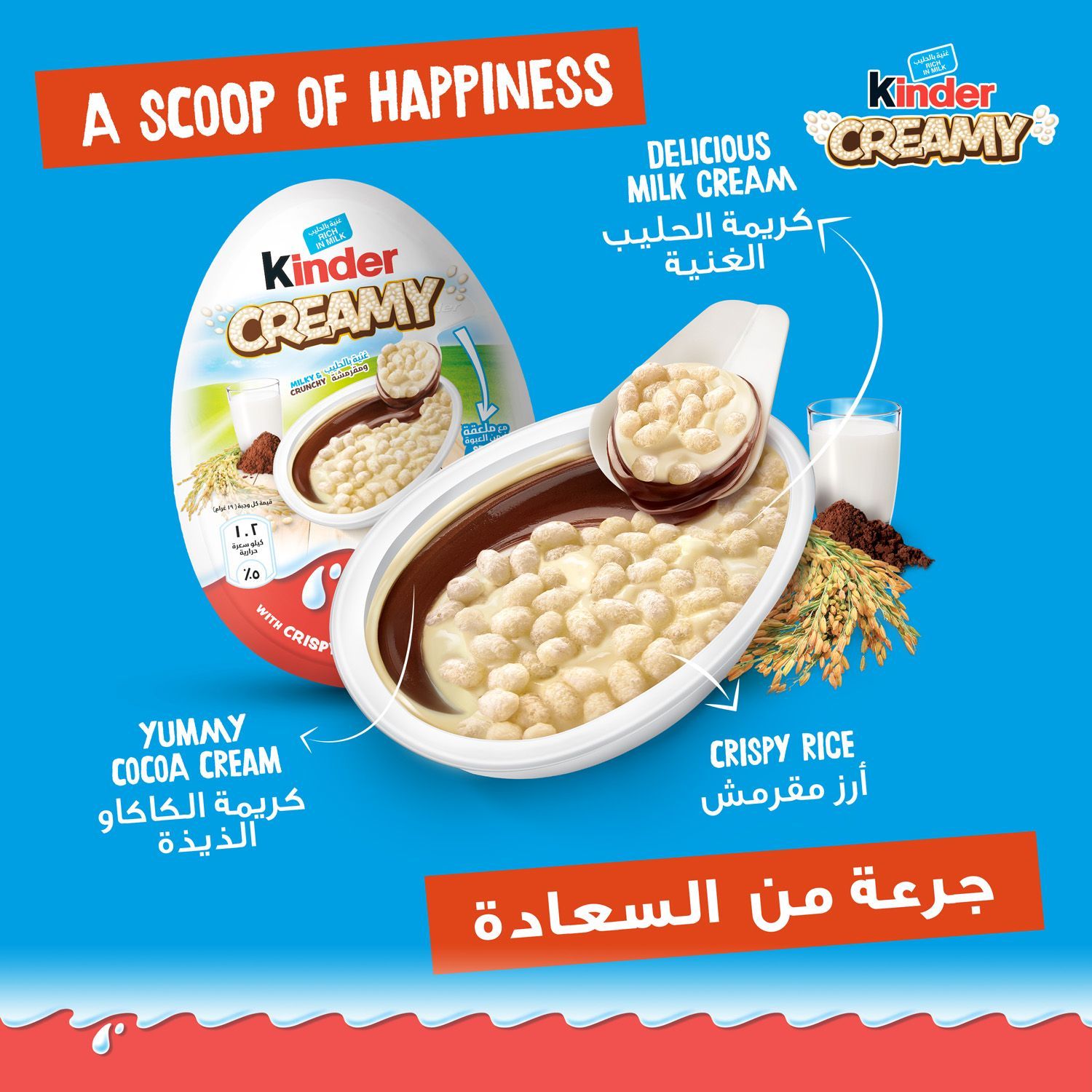 صورة 3
