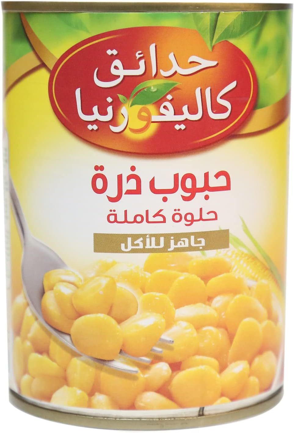 صورة 2