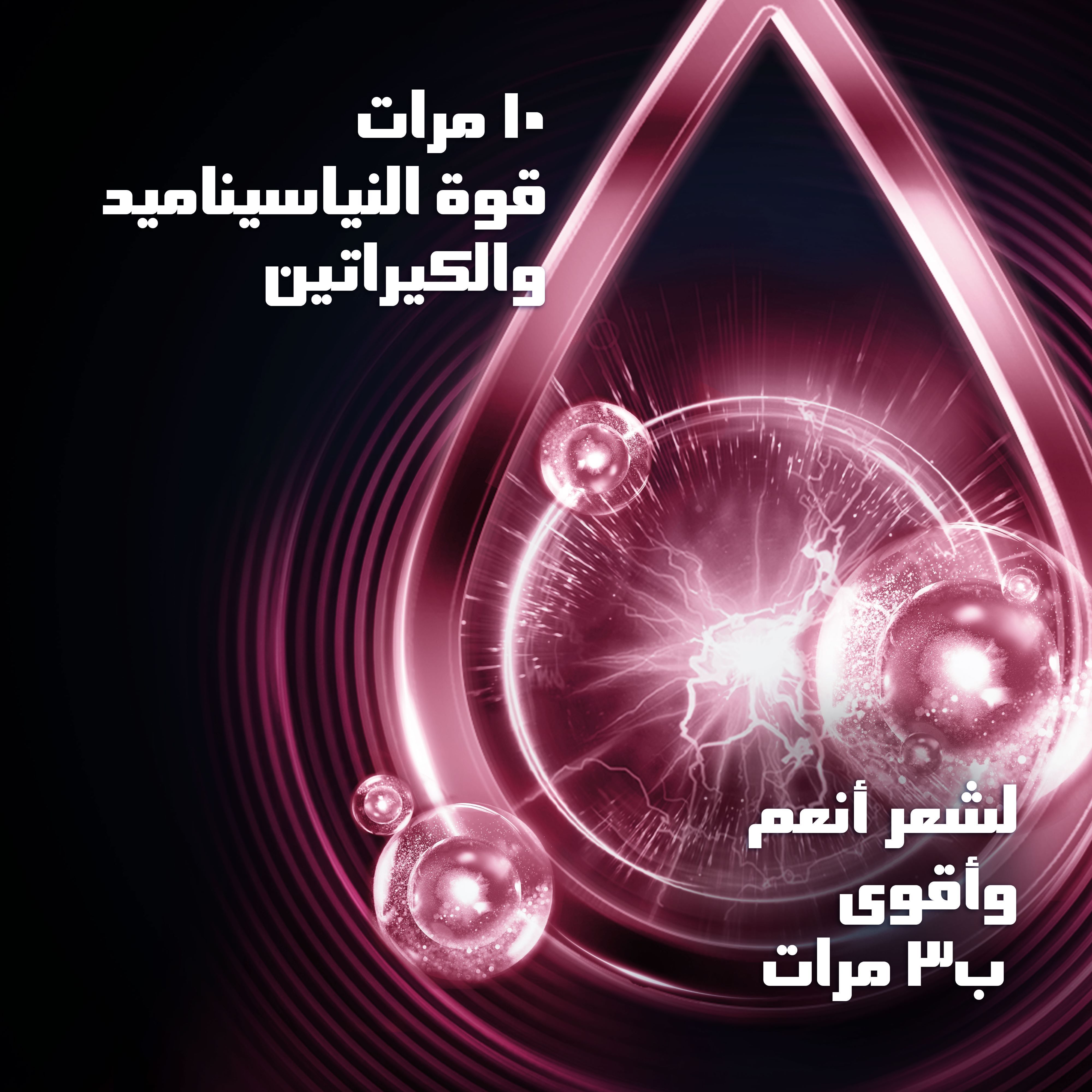 صورة 3