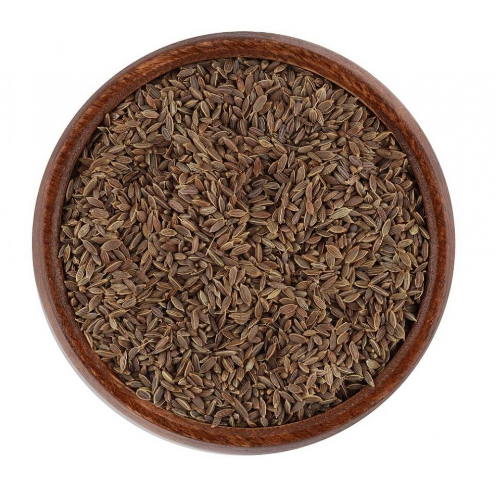 بذور الشبت
