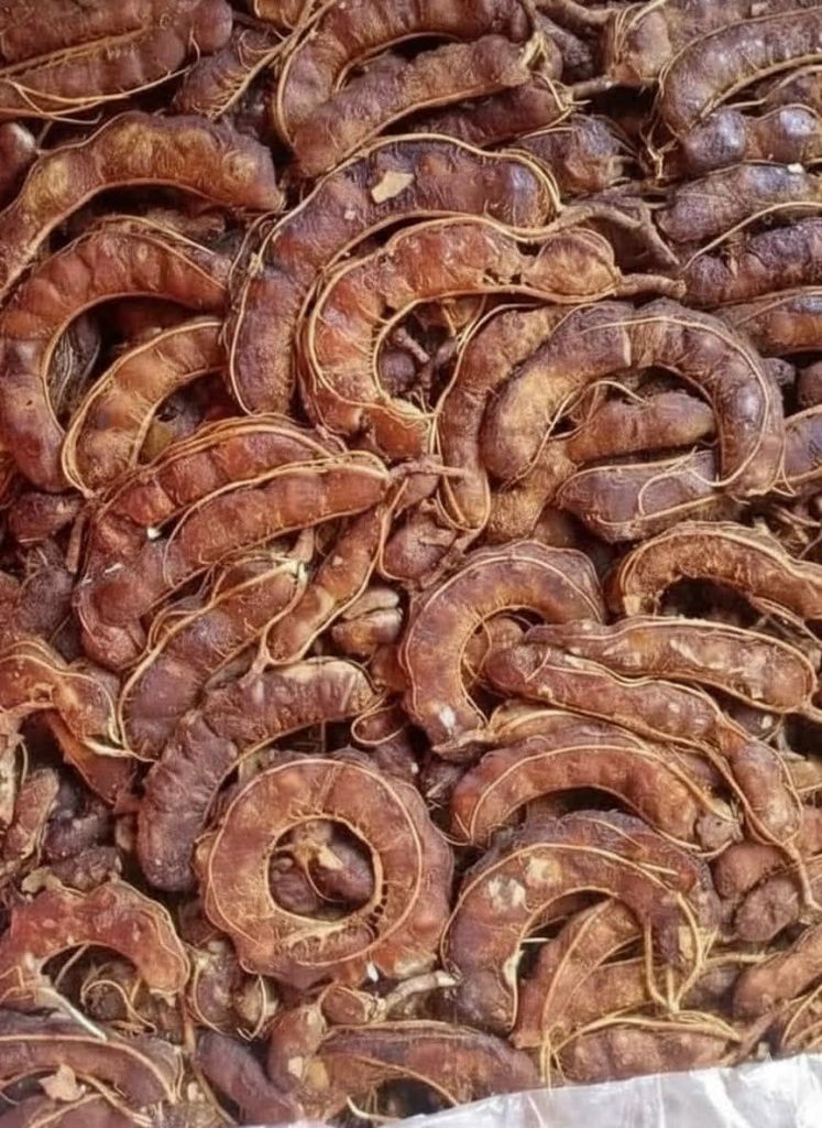 حمر بلدي