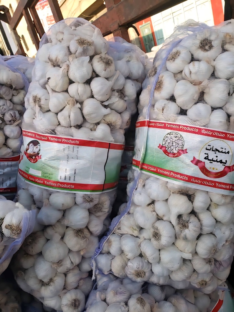 ثومة بلدي
