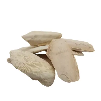 لسان البحر