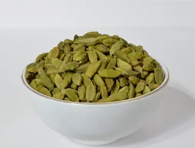 هيل امريكي كاردكس جامبو
