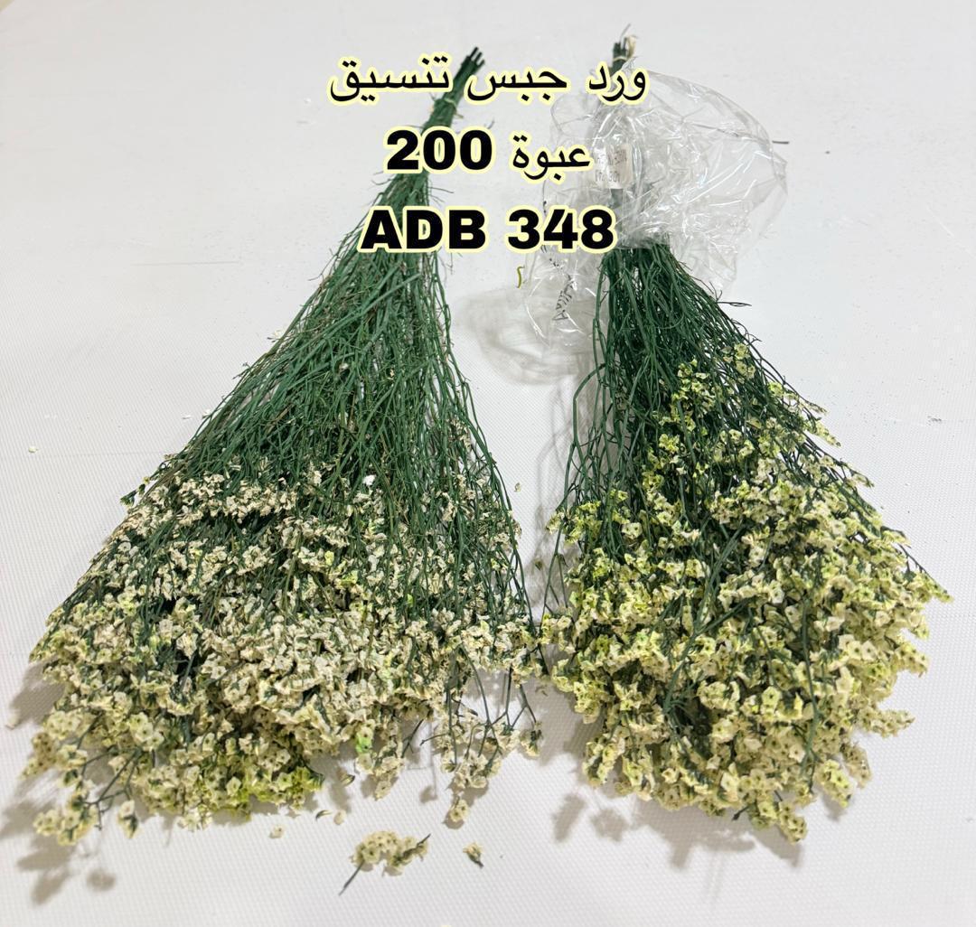 جبس فل تنسيق  طبيعي 348
