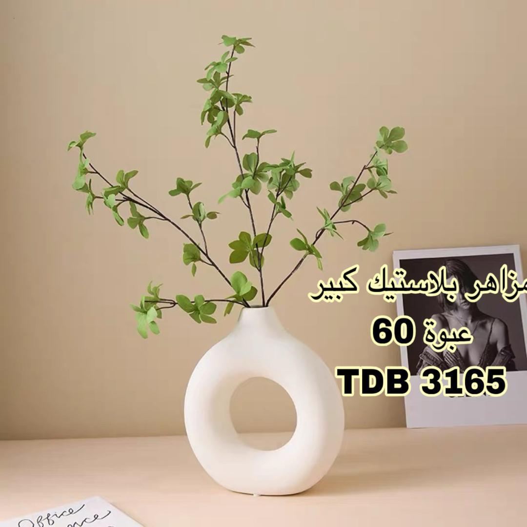 صورة 2