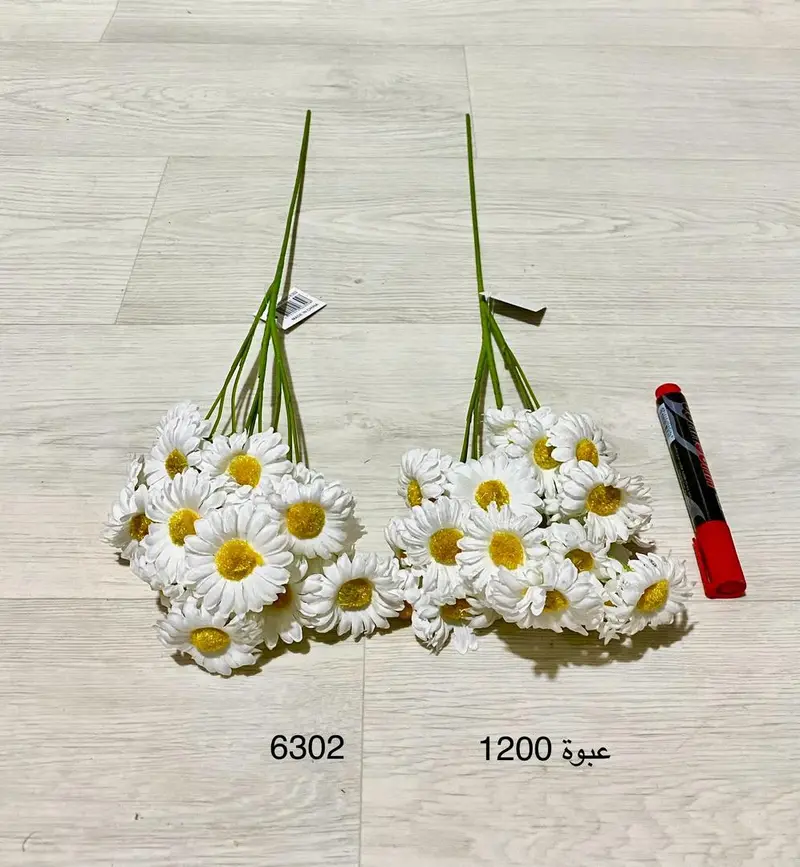 ورود عباد الشمس 6299