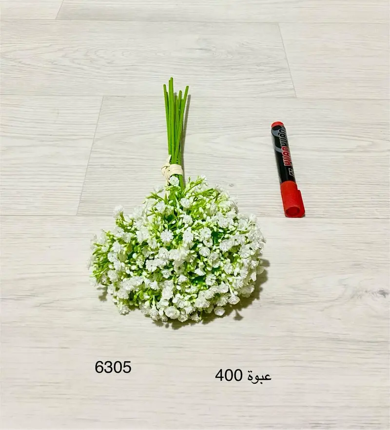 ورود جبس 6305