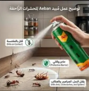 فلت عيبان *2د