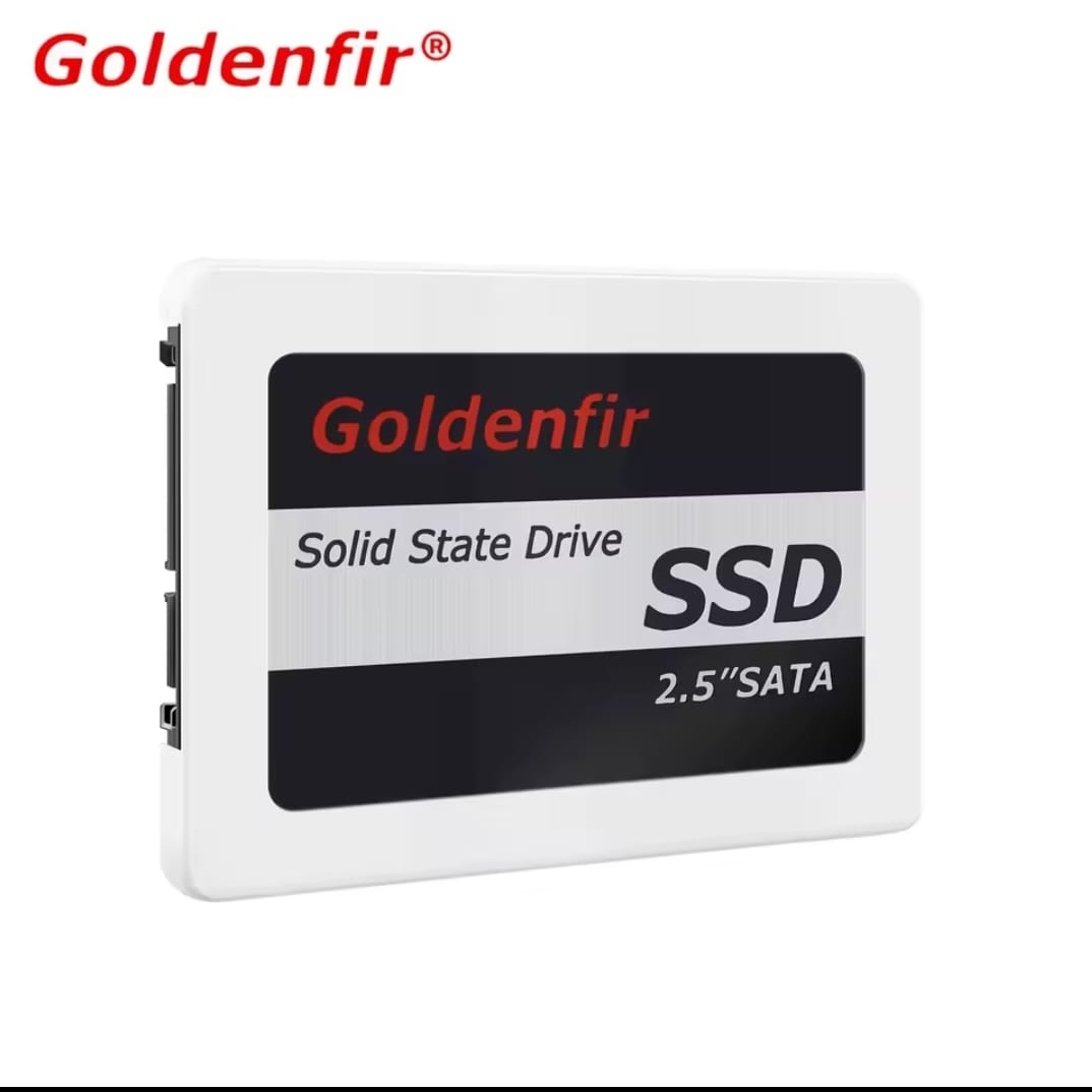 Goldenfir SSD 256GB Hard Disk