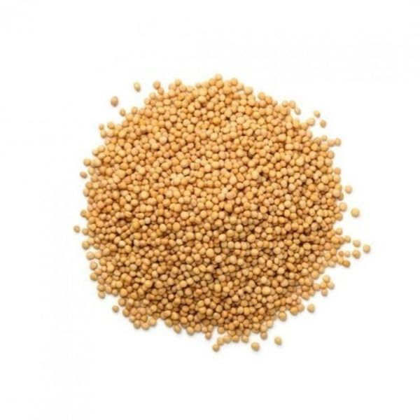 خردل حب اصفر - عطار