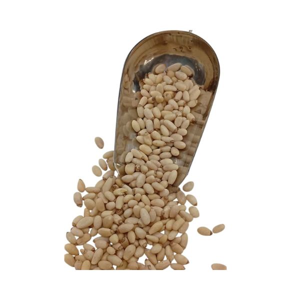 صنوبر - عطار