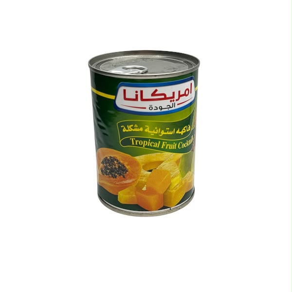فاكهة قطع  كوكتيل امريكانا 565 جم