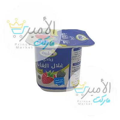 زبادي بنكهة غلال الغابة طيبة 80 جم