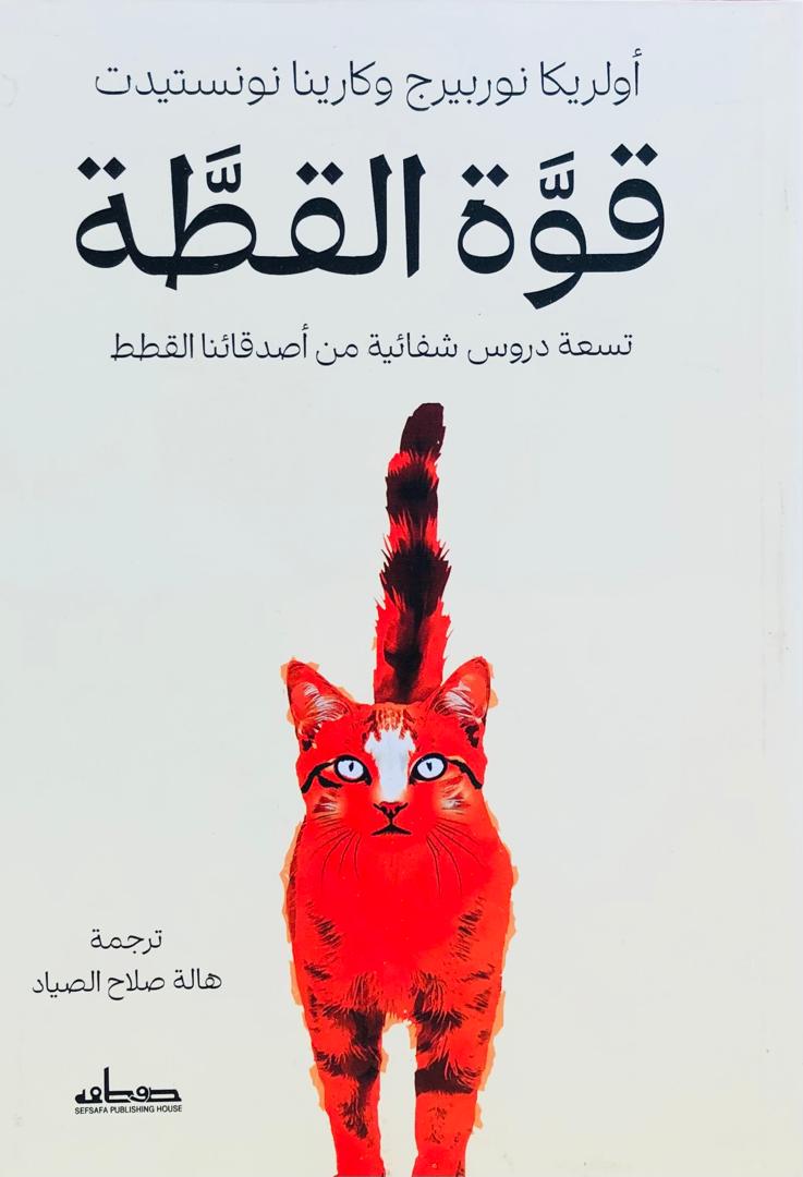 قوة القطة