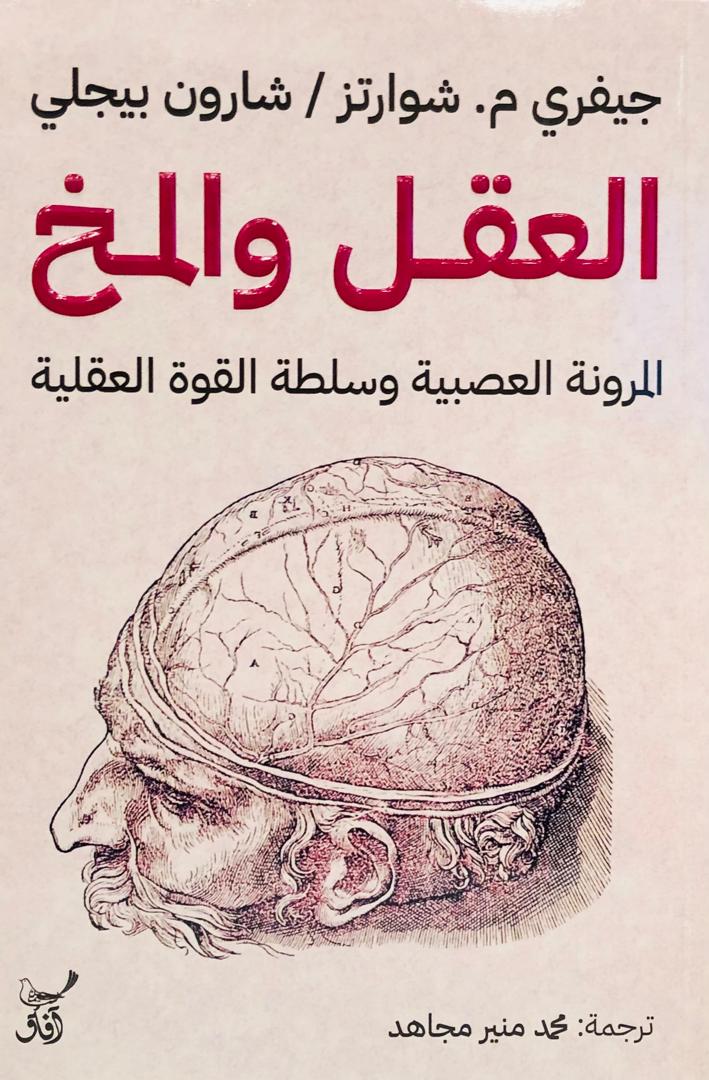 العقل والمخ