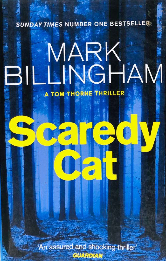 SCAREDY CAT
