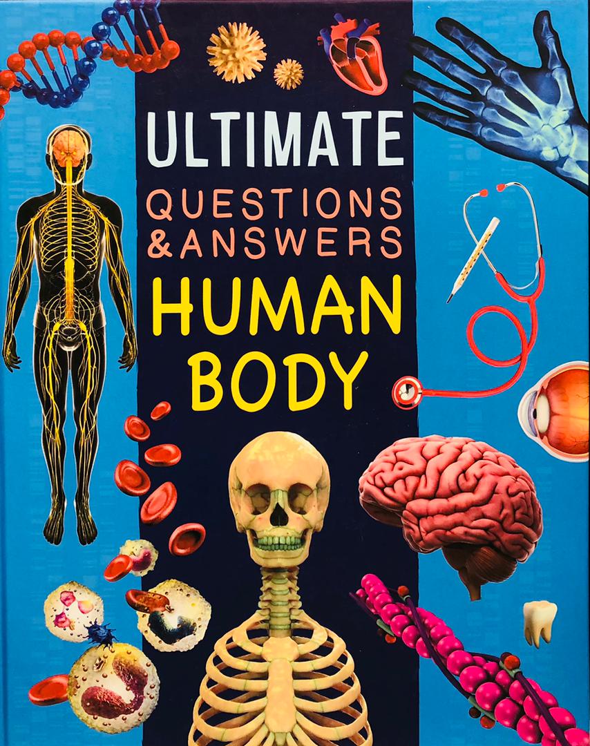 HUMAN BODY