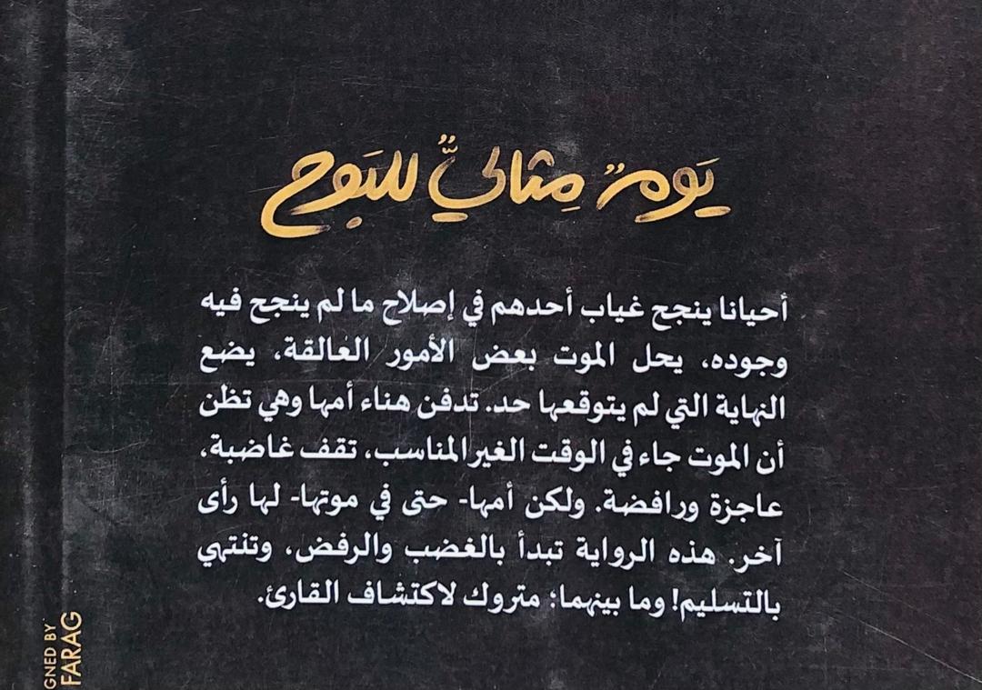 صورة 2