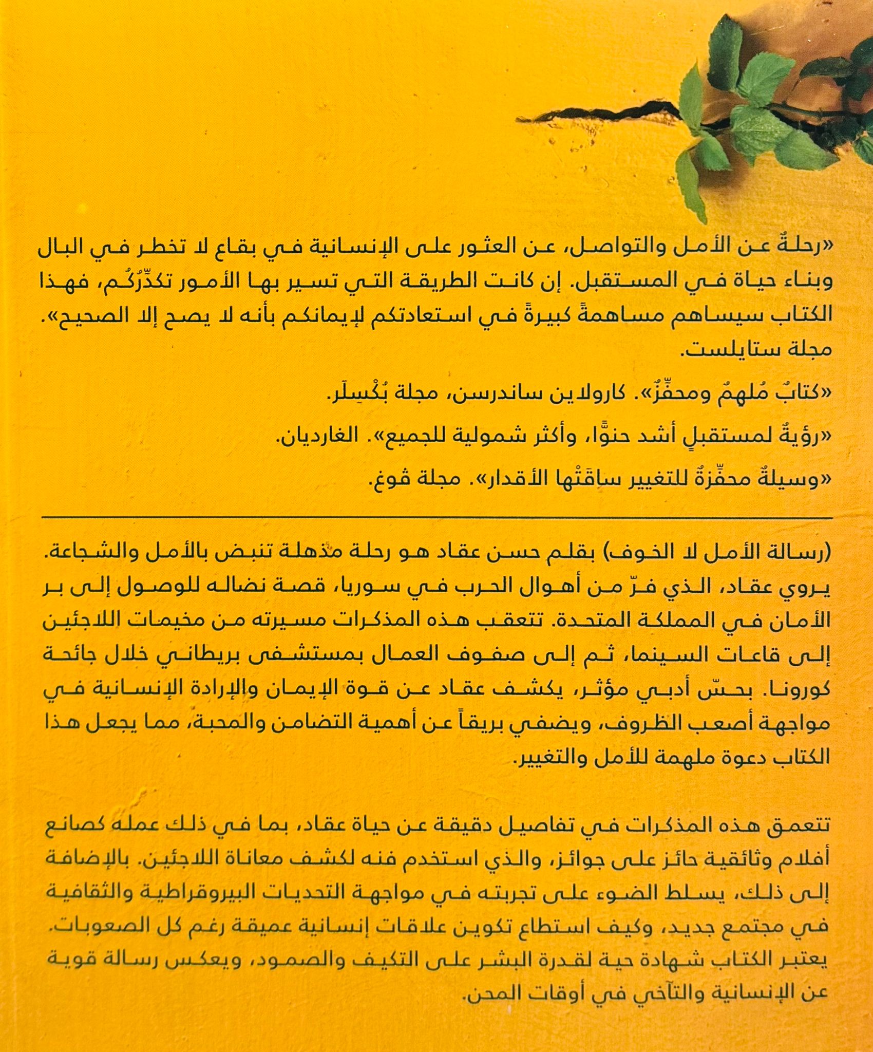 صورة 2